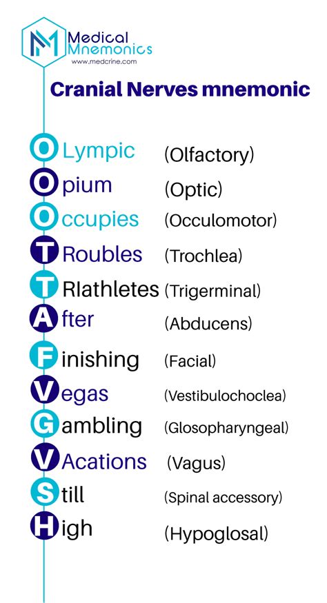 Cranial Nerve Mnemonics