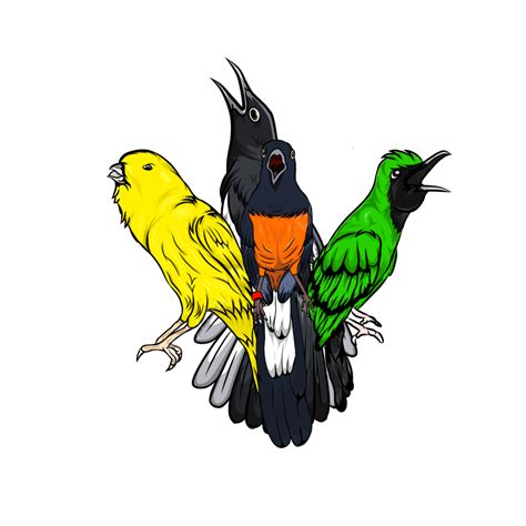 Vector Bird Magpie Cucak Green Canary And Pleci, Magpie, Bird Vector ...