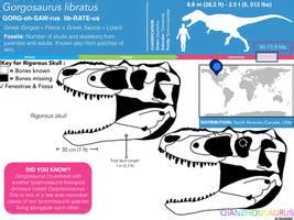 Qianzhousaurus sinensis skull skeletal by Qianzhousaurus on DeviantArt