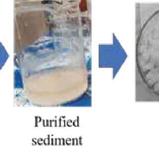 Synthesis process of starch from plant derived source (potato ...