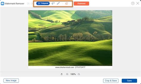 How to Remove Shutterstock Watermark Using 3 Methods