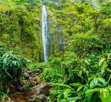 Maui's Best Waterfalls