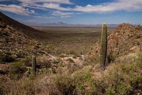 8 Best Hikes in Saguaro National Park - Trailhead Traveler