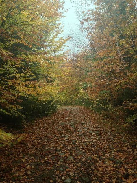 Thomas Mountain Trail | Hike Overlooking Lake George in Bolton Landing NY