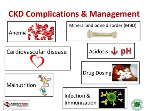 Chronic Kidney Disease (CKD) - At a Glance