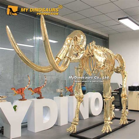 AS-074 Gold Plated Mammoth Skeleton for Sale | My Dinosaurs