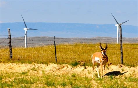 From coal mine to wind farm - CNET