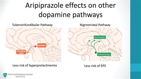 PPT - Antipsychotics: The Essentials Module 2 Mechanism of Action of Aripiprazole PowerPoint ...