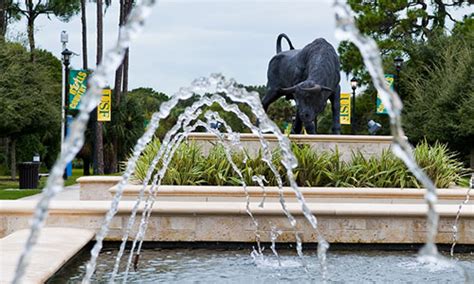 USF Sarasota-Manatee to host several community events in early 2020 ...