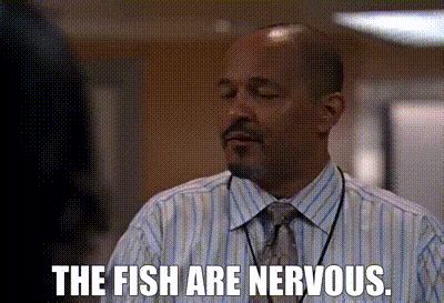 YARN | The fish are nervous. | The Wire (2002) Drama | Video clips by quotes | 0aaf360f | 紗