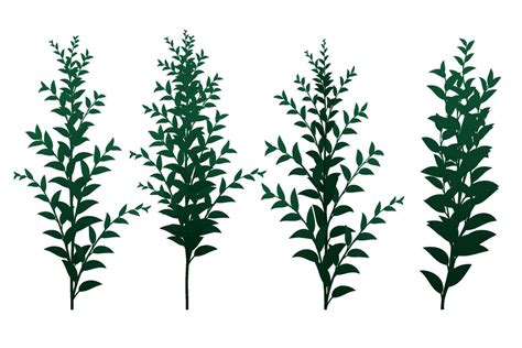 set of vector design element green leaf 6990637 Vector Art at Vecteezy