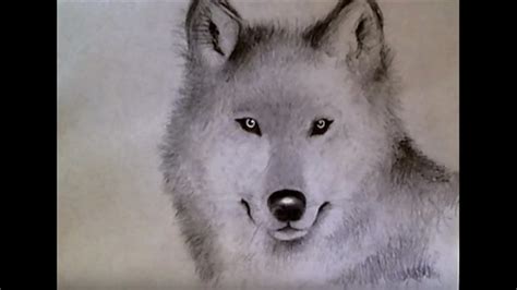 How to Draw Realistic Wolf (for beginners!) - YouTube