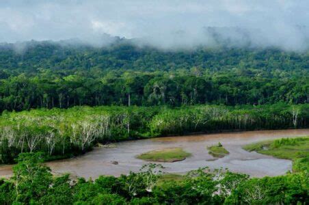 Human occupation of the Amazon River basin - Del Amazonas