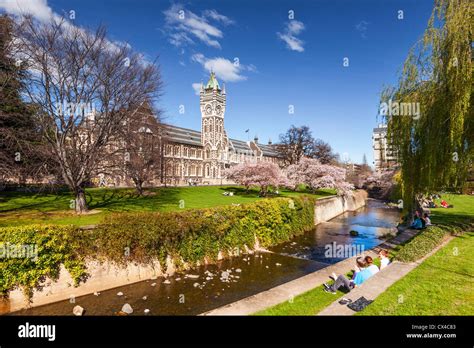 Otago University Campus, with the historic Clock Tower Registry building and spring blossom ...