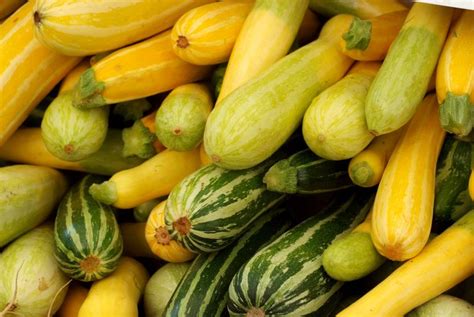 Summer Squash and Zucchini Nutrition Facts