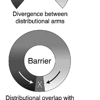 (A) An idealized diagram of the formation of a ring species. An ...