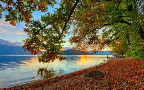 Download Leaf Fall Nature Lake HD Wallpaper