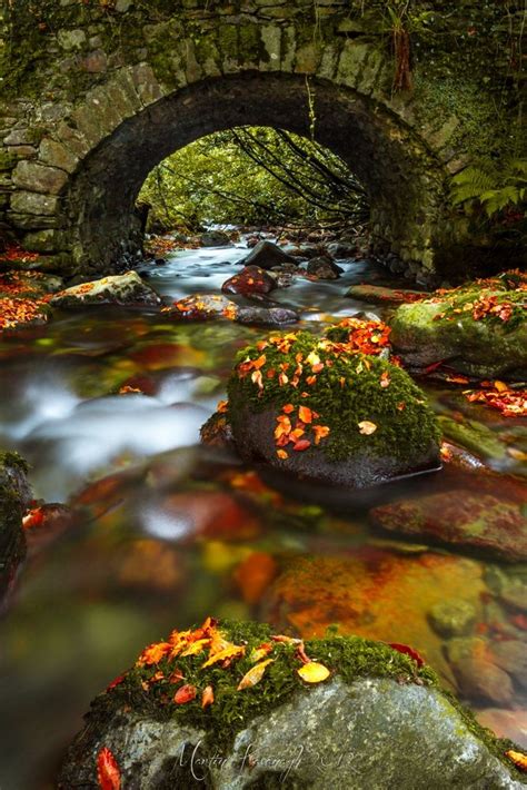 Autumn Bridge.... | Beautiful nature, Beautiful landscapes, Autumn bridge