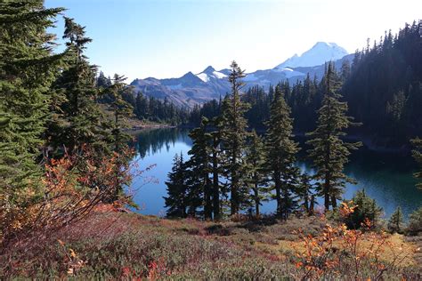 Cozy Bear Cabins | Ruidoso cabins | Ruidoso, NM