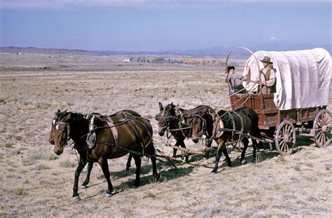 We should be able to buy a wagon like this so we can store our, provisions, clothes and weapons ...