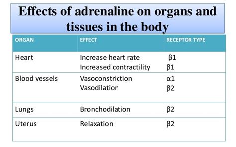 Adrenaline & Noradrenaline