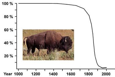 BISON - Populations