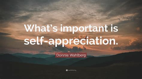 Donnie Wahlberg Quote: “What’s important is self-appreciation.” (10 ...