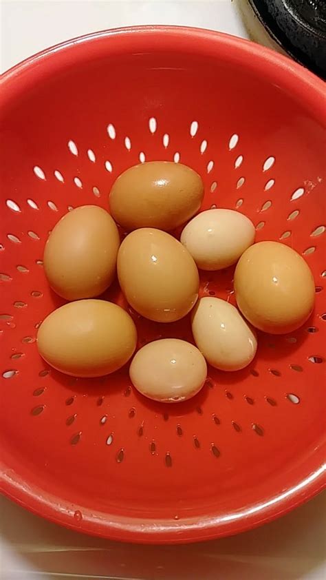 Bantam eggs! : chickens