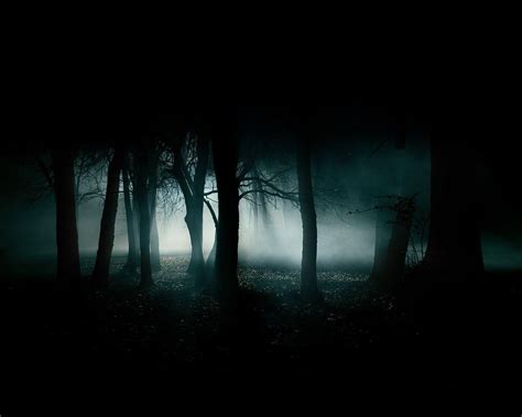 375x667 resolution | trees digital wallpaper, forest, dark, night, gloomy HD wallpaper ...