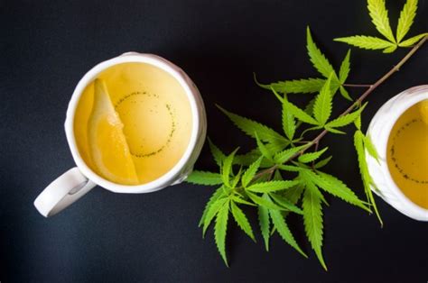 Cannabis Tea – How to Make it and What are Its Benefits? | Marijuana.TM - Cannabis News