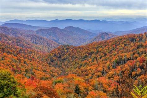 Tennessee Fall Foliage Creates Unbe-LEAF-able Views! | CCI Research & Innovation Center