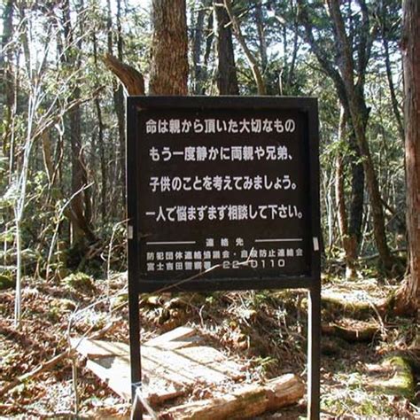 Aokigahara Forest – Fujinomiya-shi, Japan - Atlas Obscura