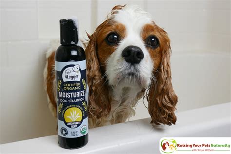 Natural Dog Shampoo Review: USDA Certified Organic Dog Shampoo with ...