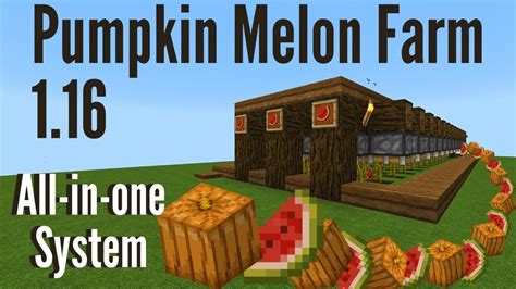 Minecraft Pumpkin Farm Layout