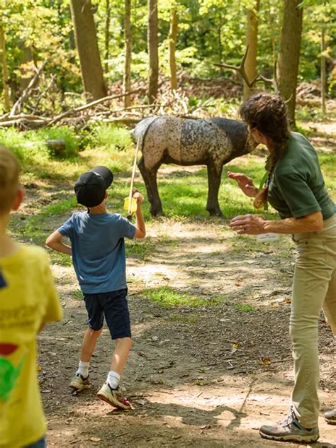 Meadowcroft Rockshelter and Historic Village - Heinz History Center