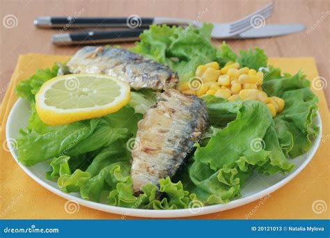 Salad with sardines stock image. Image of healthy, corn - 20121013