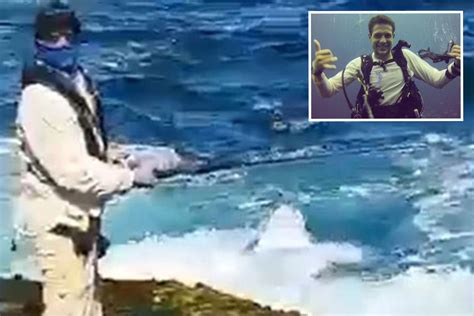 'Disturbing' details in Sydney shark attack video divide the internet after social media users ...