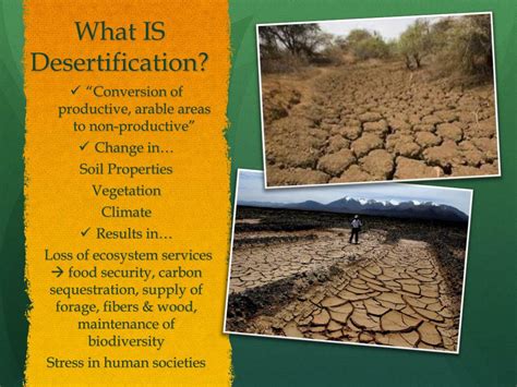 PPT - Desertification PowerPoint Presentation, free download - ID:2061140