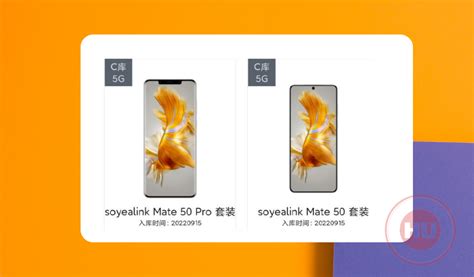 Huawei Mate 50 5G phone case may cost 799 yuan - HU