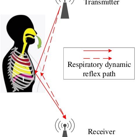 (a) Experiment 1: Normal breaths for one minute. (b) Experiment 2 ...