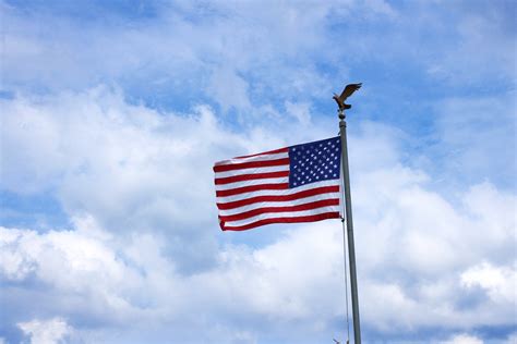 US Flag And Eagle Free Stock Photo - Public Domain Pictures