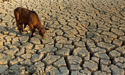 Dry Season: The Texas Drought of 2011 – Collective Vision | Photoblog for the Austin American ...