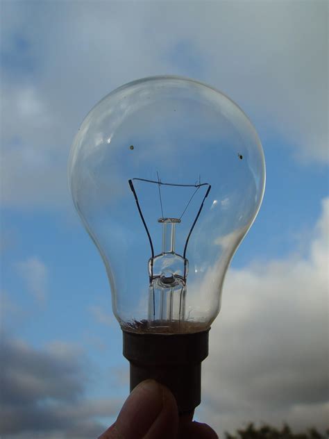 File:Clear light bulb.jpg - Wikimedia Commons