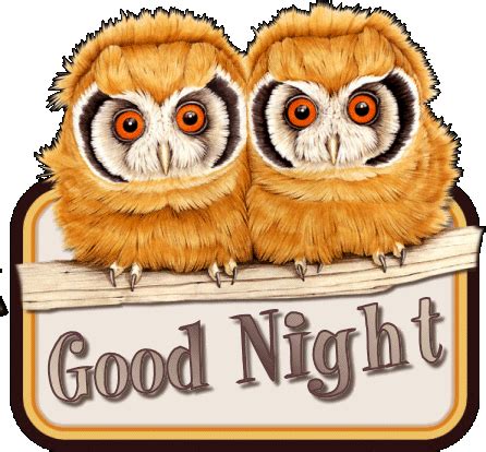 Goodnight Owls gif by angellovernumberone | Photobucket