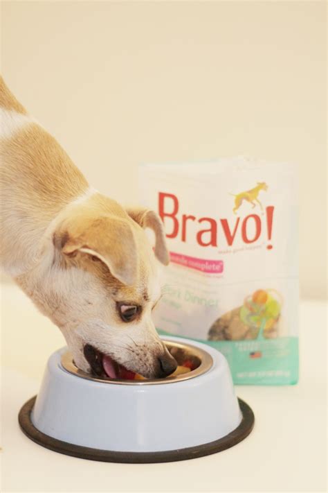 HAPPYHAZEL: Bravo Raw Dog Food Homestyle Complete Dinners Review