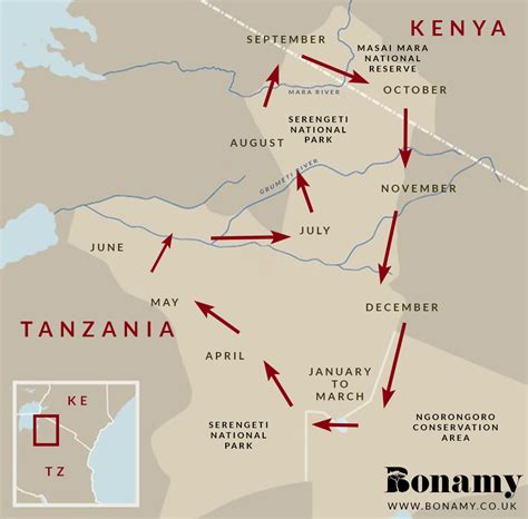 5 fast facts on Africa's Great Migration - Bonamy Travel