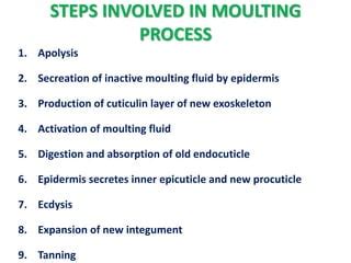 moulting by manoj | PPT