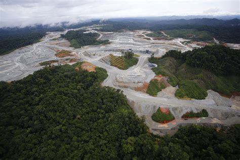 Panamá: minería arrasa con bosques del Corredor Biológico Mesoamericano