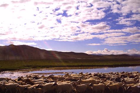 Lhasa Mt. Kailash & Manasarovar trek | Unique Adventure - Unique Adventure International Pvt. Ltd.