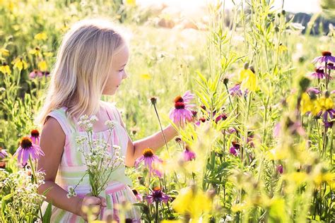 Can you pick wild flowers? The UK laws for you and your kids - Get Kids ...